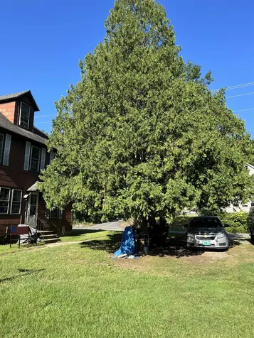 556 South Main Street Brattleboro VT 05301