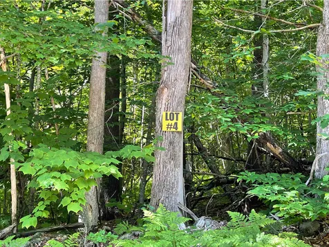 Map S02 Lot 1-c Old Center Harbor Road Meredith NH 03253