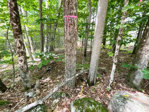 Map S02 Lot 1-c Old Center Harbor Road Meredith NH 03253