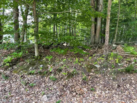 Map S02 Lot 1-c Old Center Harbor Road Meredith NH 03253