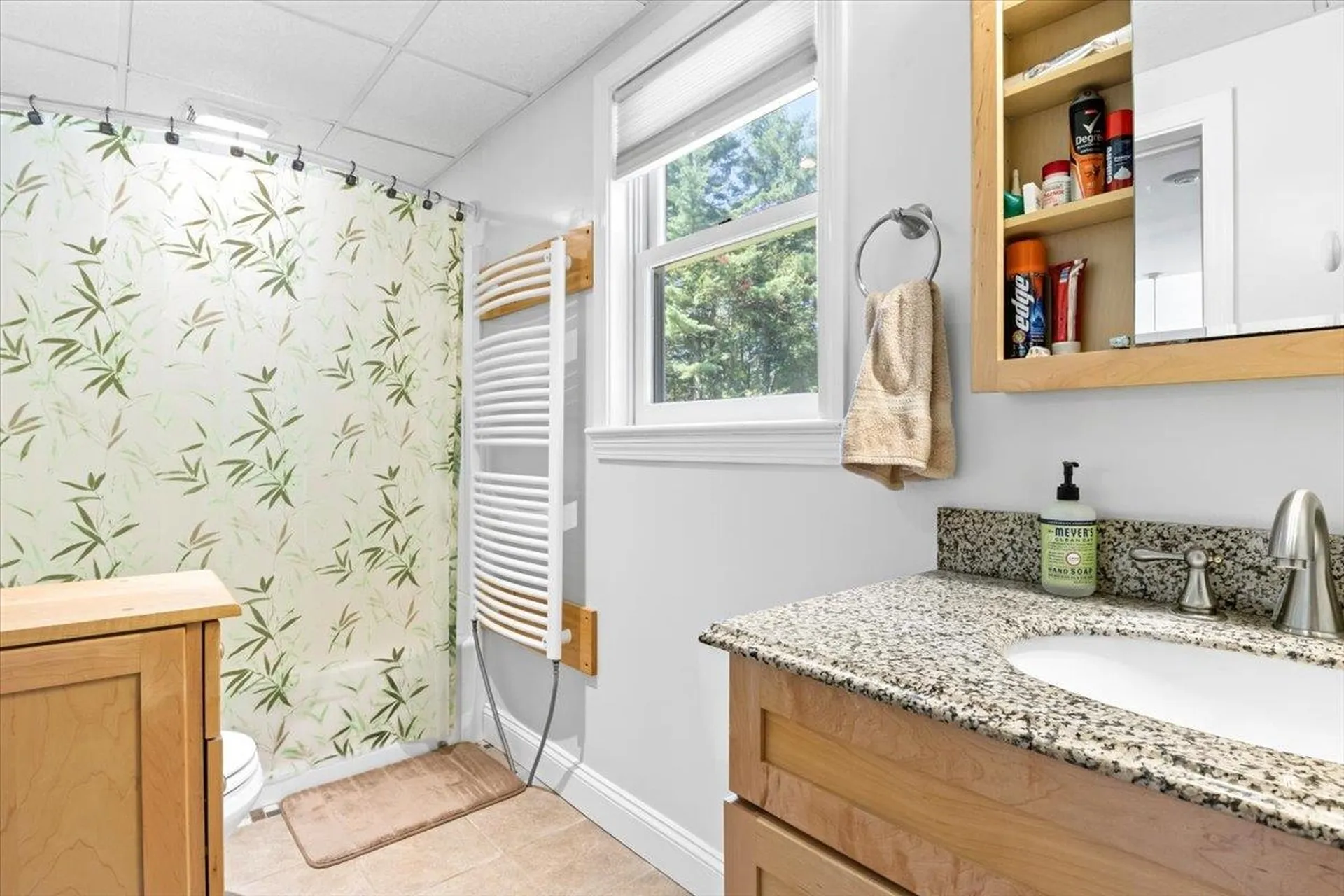33 Birch Hill Drive Georgia VT 05478