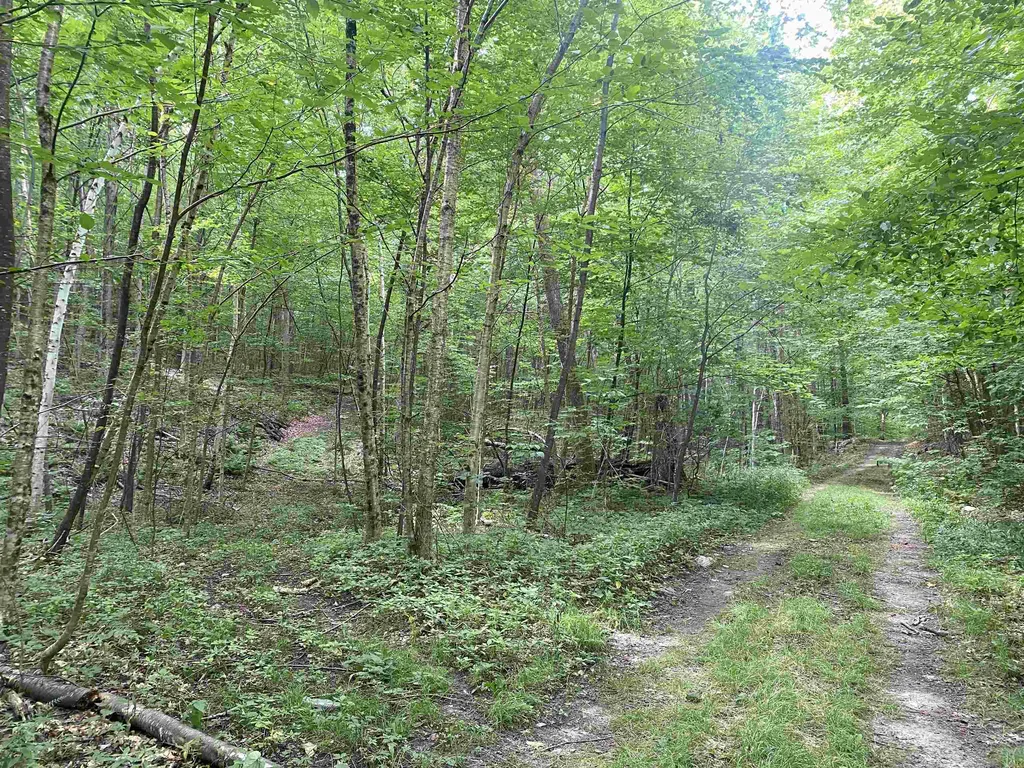 0 Rocky Lane Dorset VT 05253