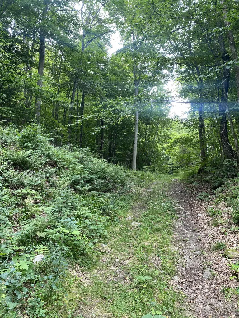 0 Rocky Lane Dorset VT 05253