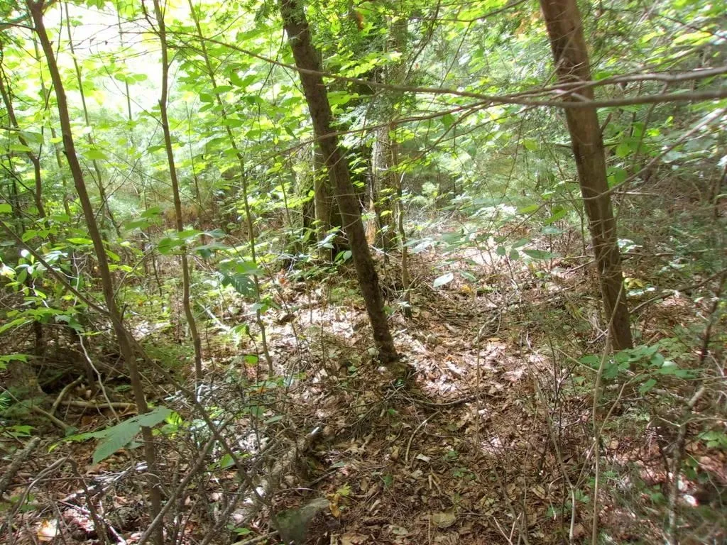 Swiftwater Circle Haverhill NH 03785