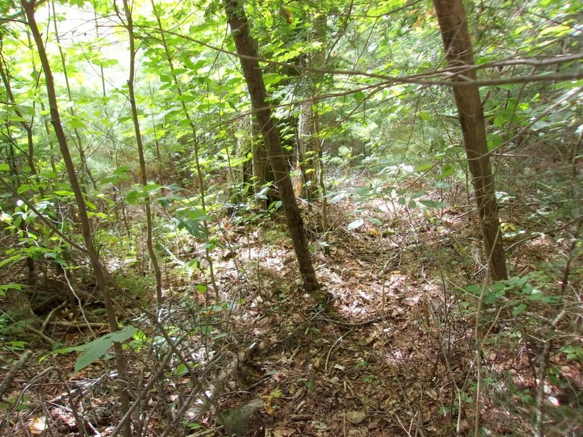 Swiftwater Circle Haverhill NH 03785