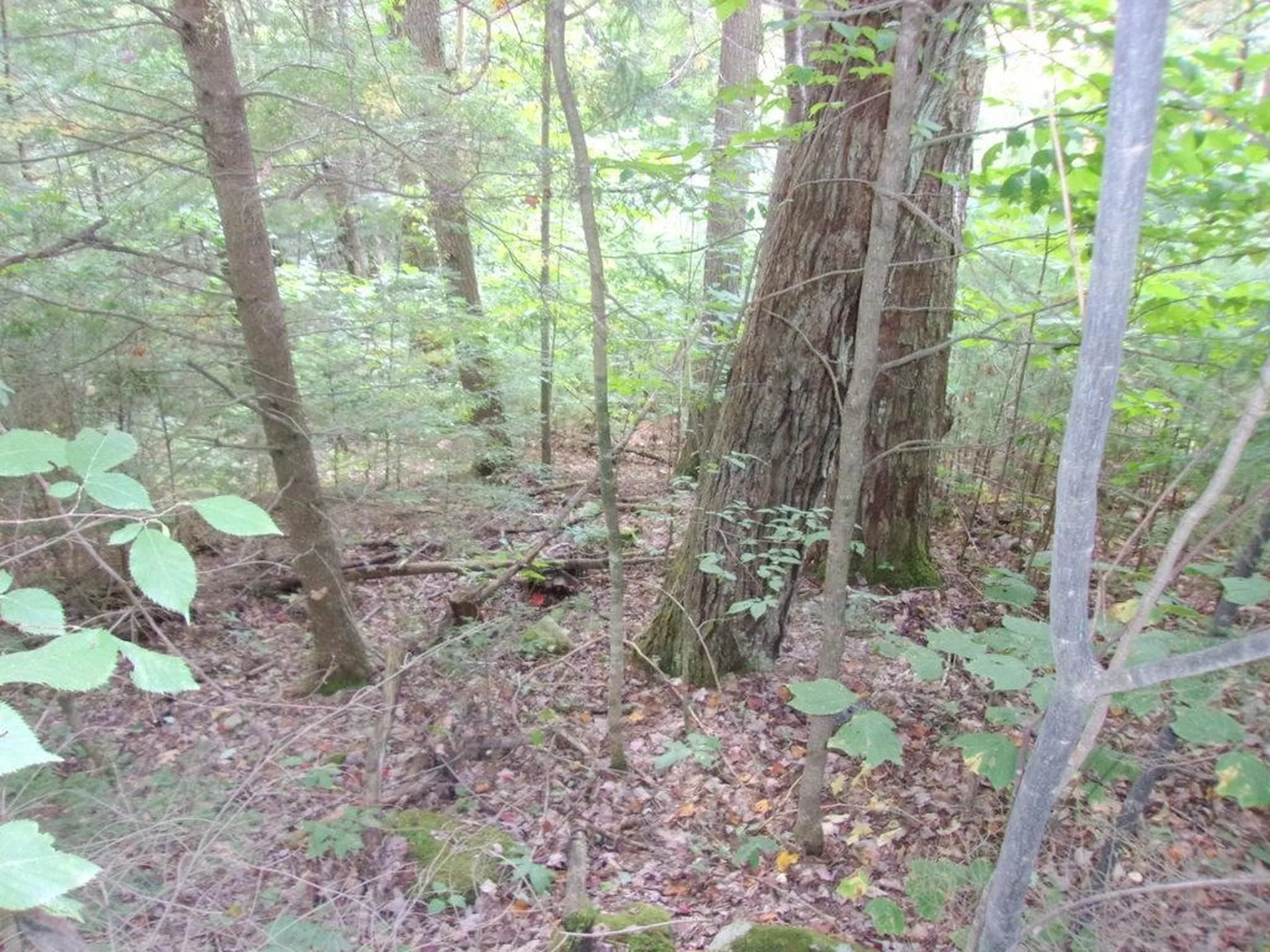 Swiftwater Circle Haverhill NH 03785