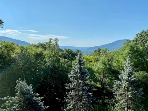 717 Danby Mountain Road Dorset VT 05251