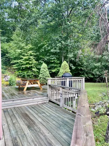 717 Danby Mountain Road Dorset VT 05251