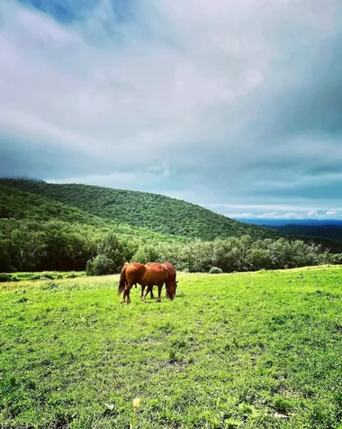 717 Danby Mountain Road Dorset VT 05251