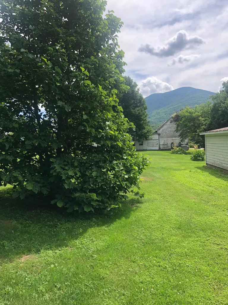 89 Depot Street Extension Mount Tabor VT 05739