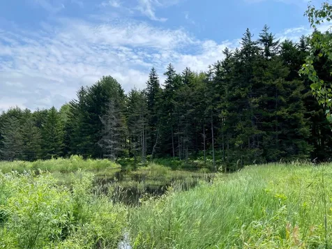2099 West Hill Road Montgomery VT 05470