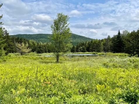 2099 West Hill Road Montgomery VT 05470