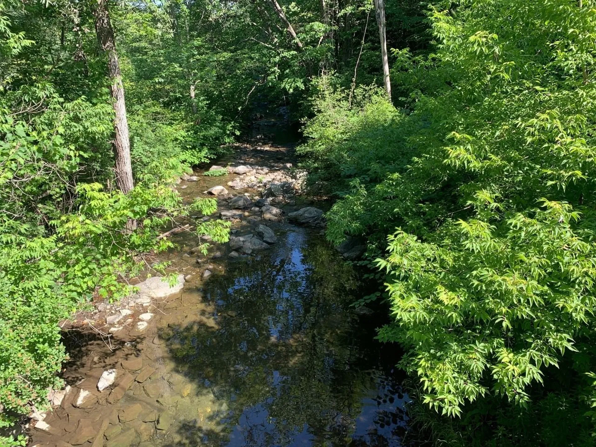 2305 South Road Woodstock VT 05091