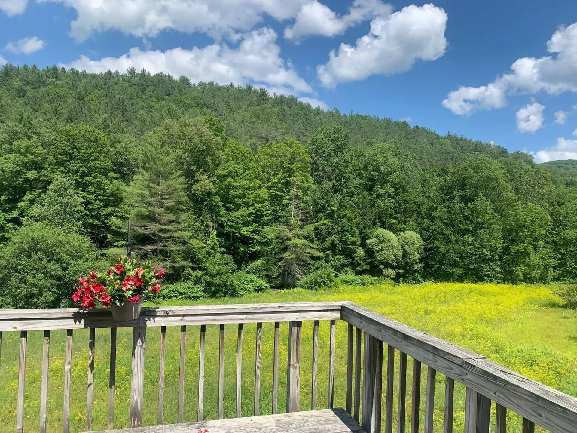 2305 South Road Woodstock VT 05091