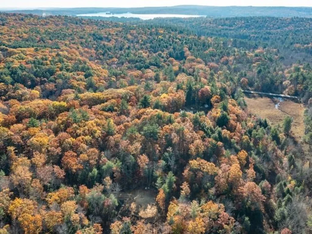 Map 1, Lot 14-9 Province Road West Strafford NH 03884