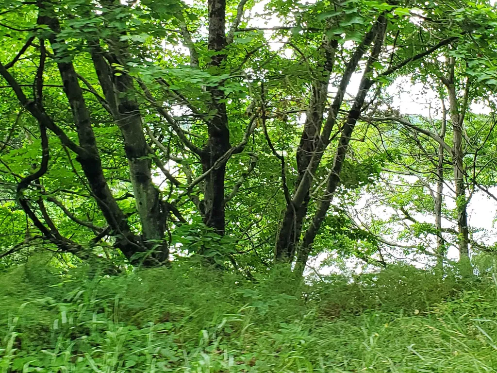 0 Lakeview Drive Lebanon NH 03766