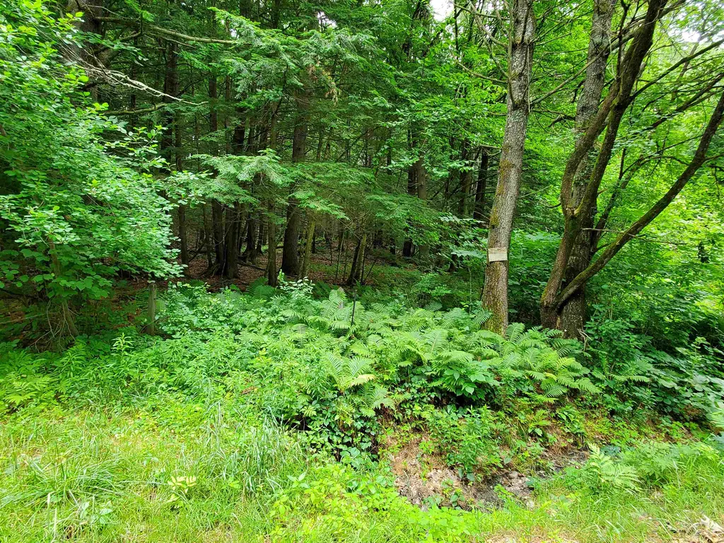 0 Lakeview Drive Lebanon NH 03766