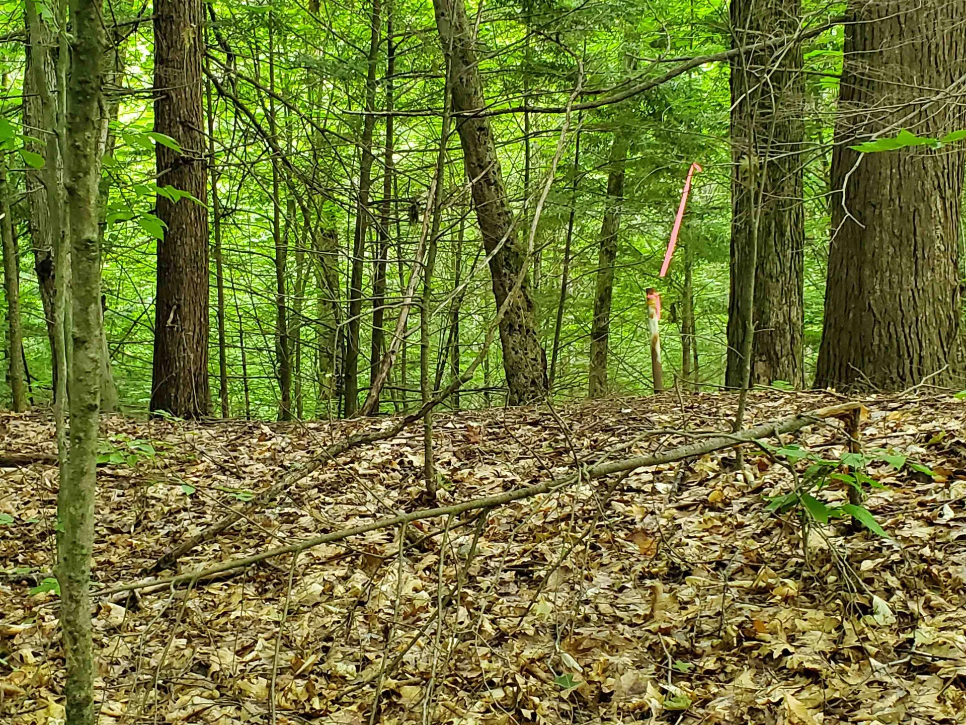 0 Lakeview Drive Lebanon NH 03766