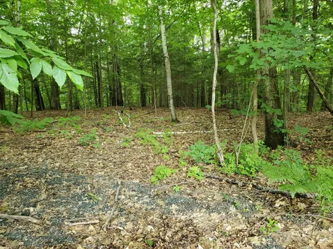 0 Lakeview Drive Lebanon NH 03766