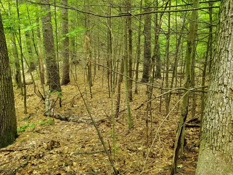 0 Lakeview Drive Lebanon NH 03766