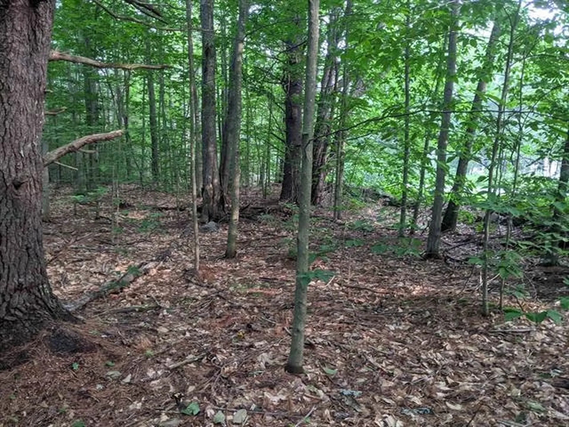 M 256 - L 11-4 Old Bay Road New Durham NH 03855