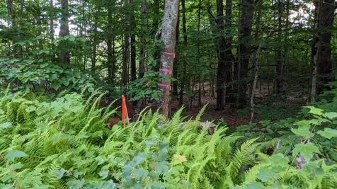 M 256 - L 11-4 Old Bay Road New Durham NH 03855