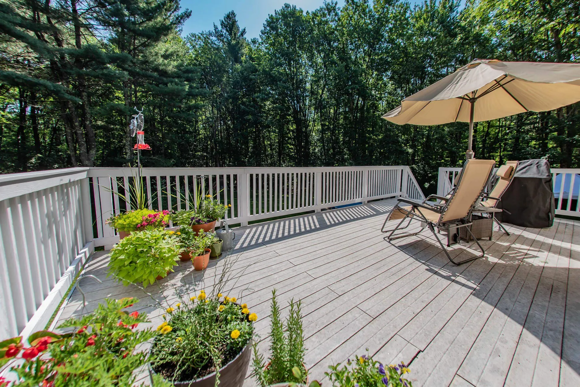 15 Hickory Lane Danville NH 03819