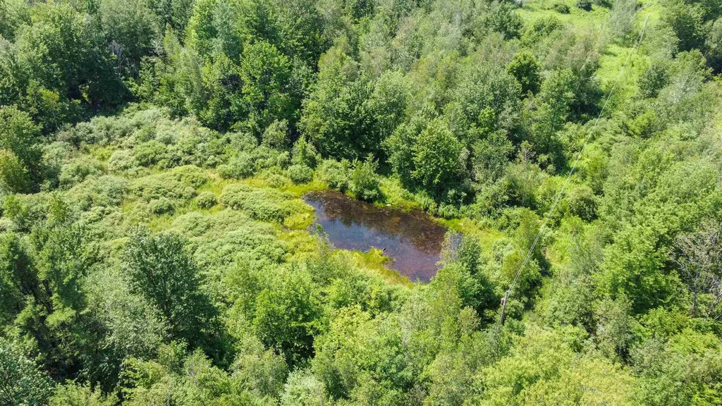 3233 South Road Williston VT 05495