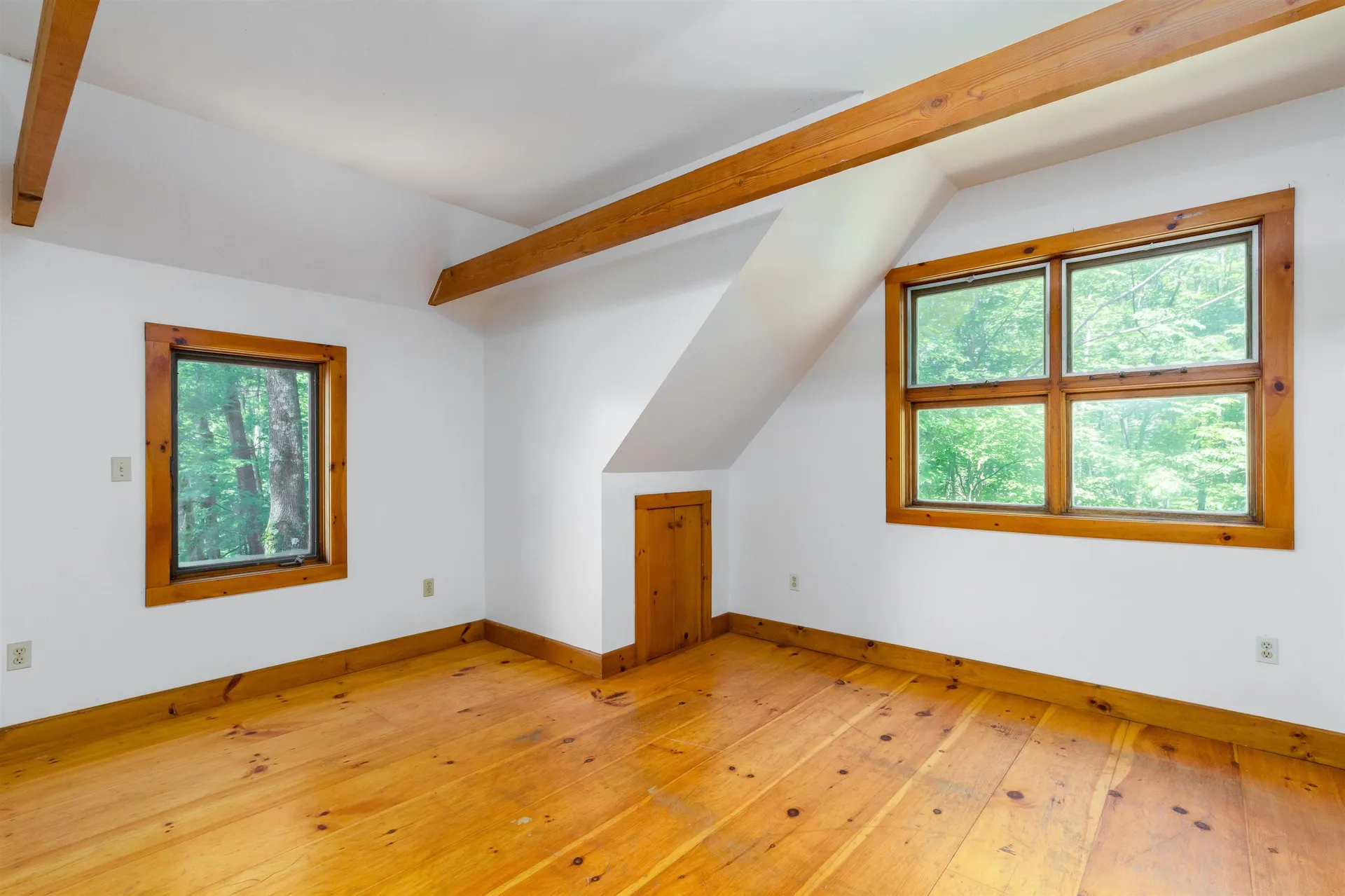 3233 South Road Williston VT 05495