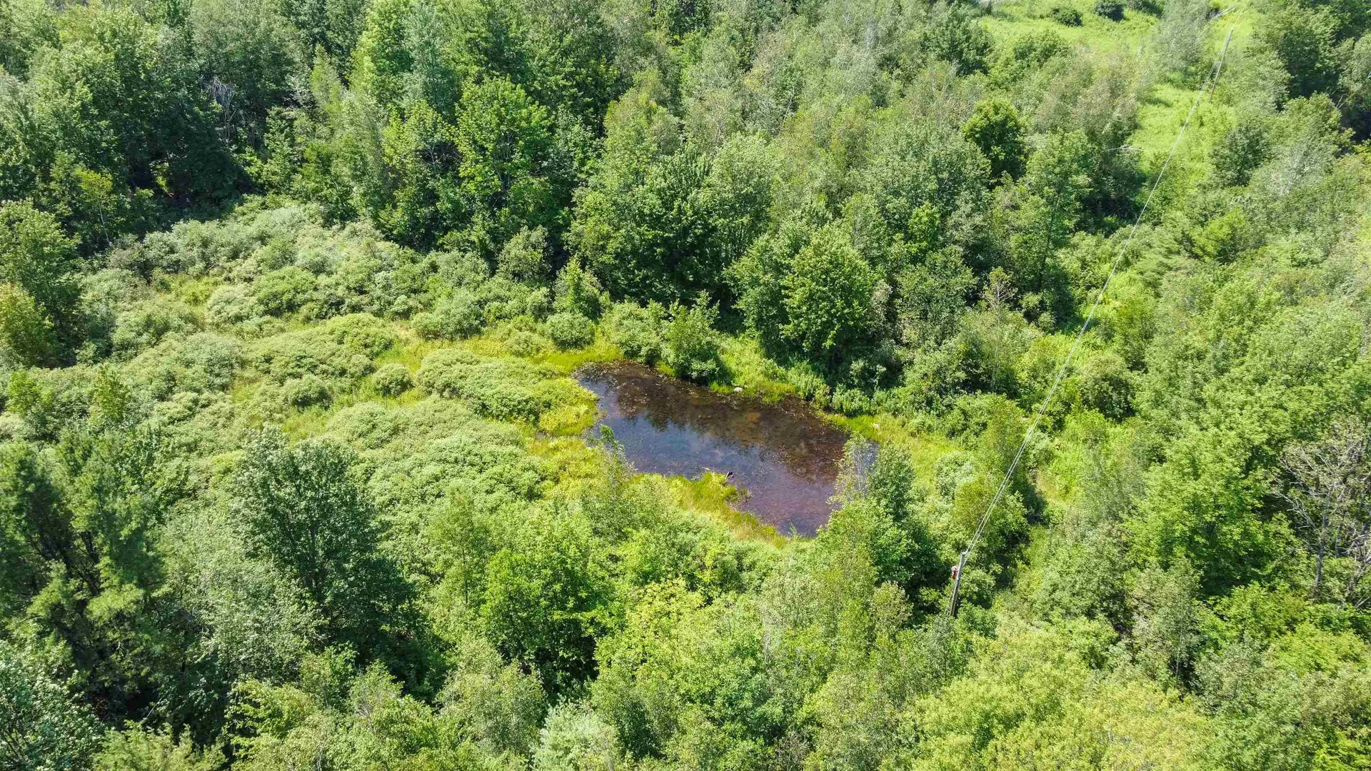 3233 South Road Williston VT 05495