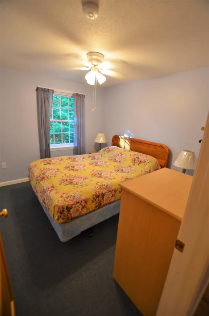 120 Pheasant Lane Washington NH 03280