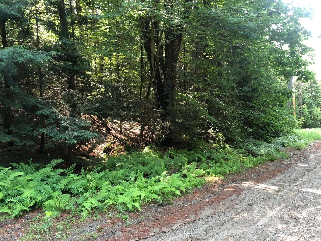 Kinsman Road Haverhill NH 03785