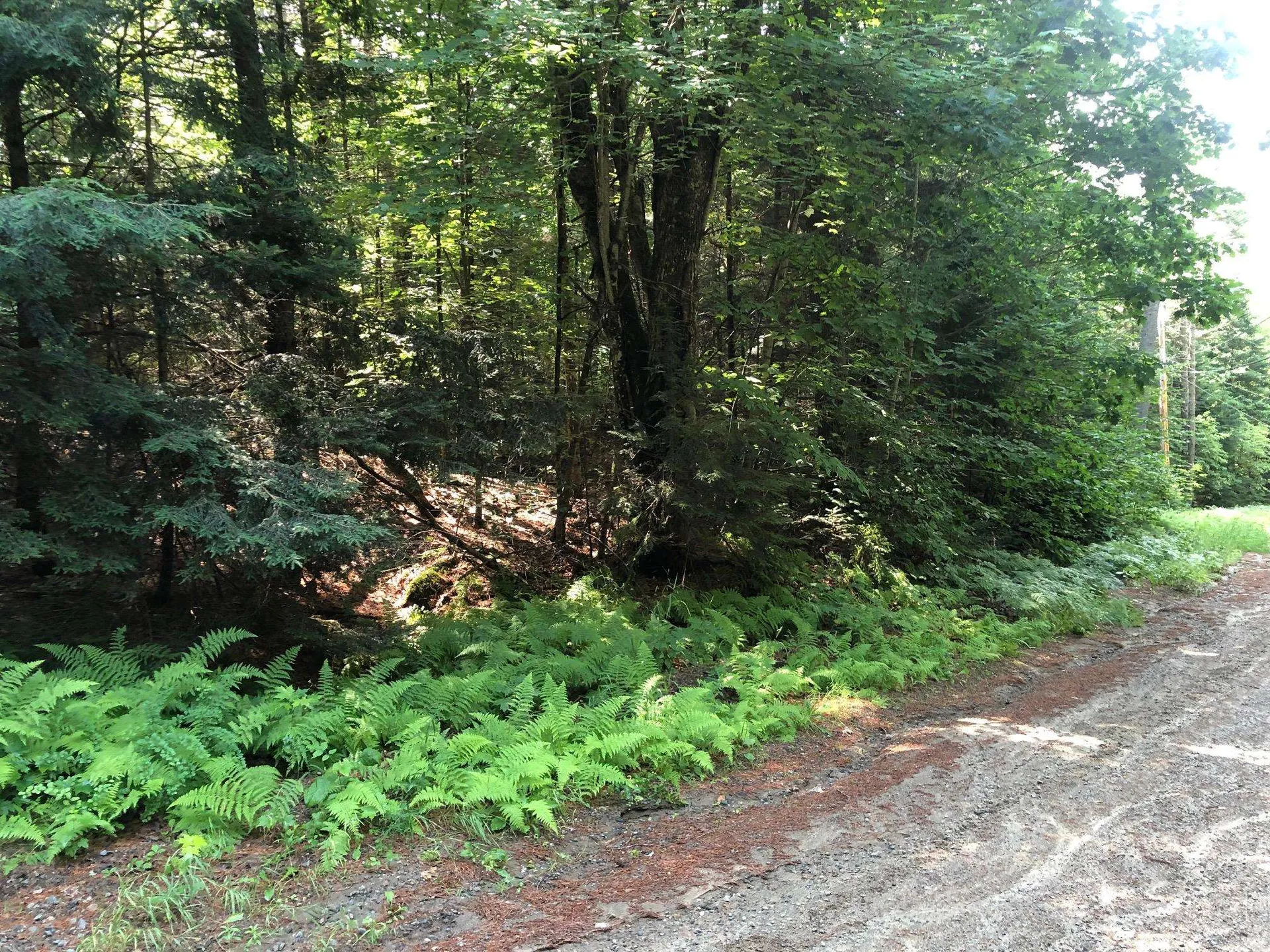 Kinsman Road Haverhill NH 03785