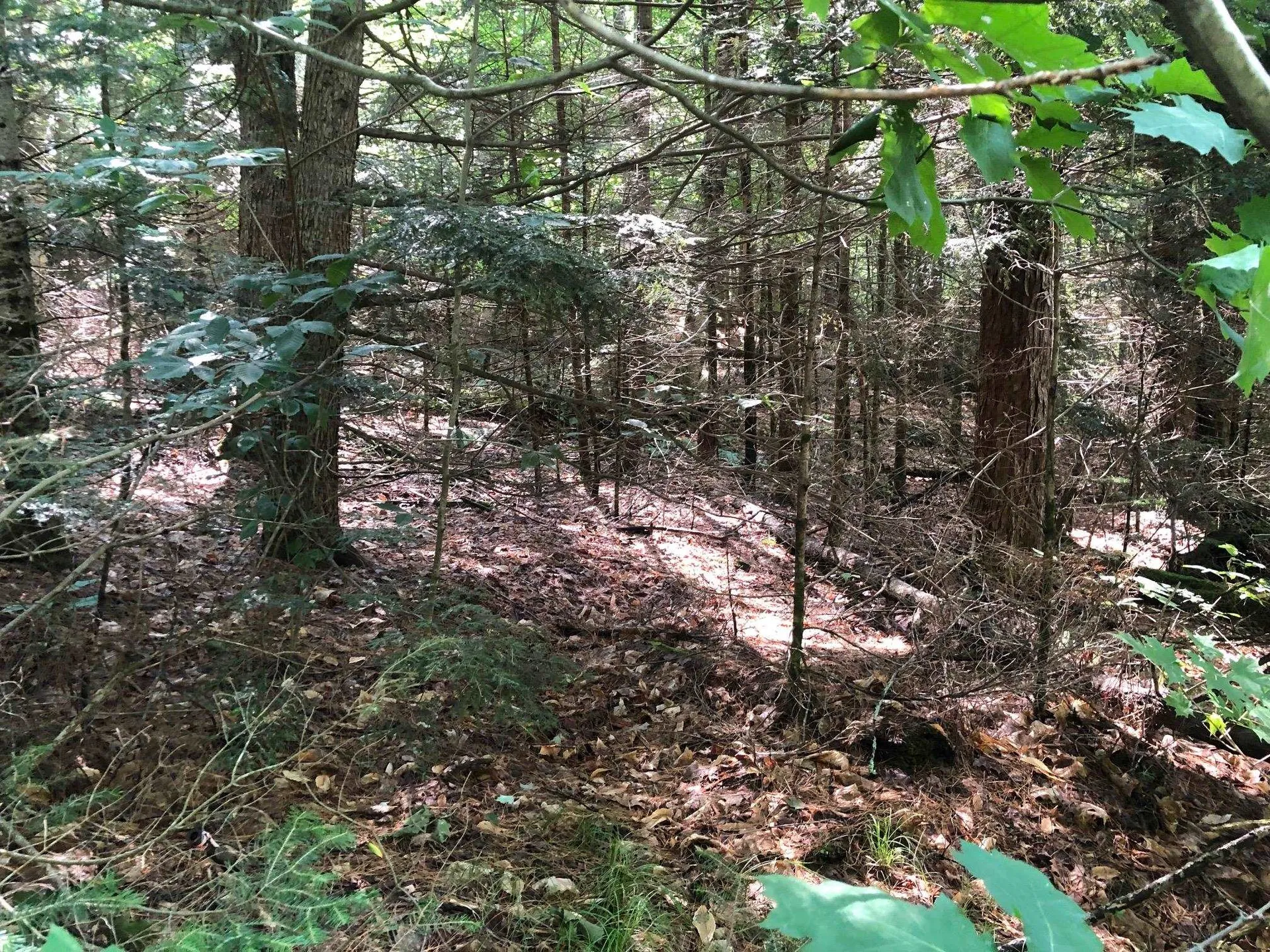 Kinsman Road Haverhill NH 03785