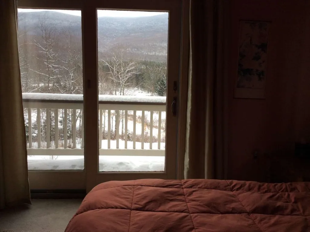 489 Hall Road Lincoln VT 05443