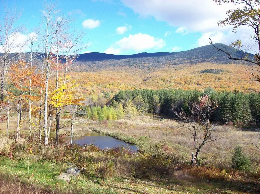 489 Hall Road Lincoln VT 05443