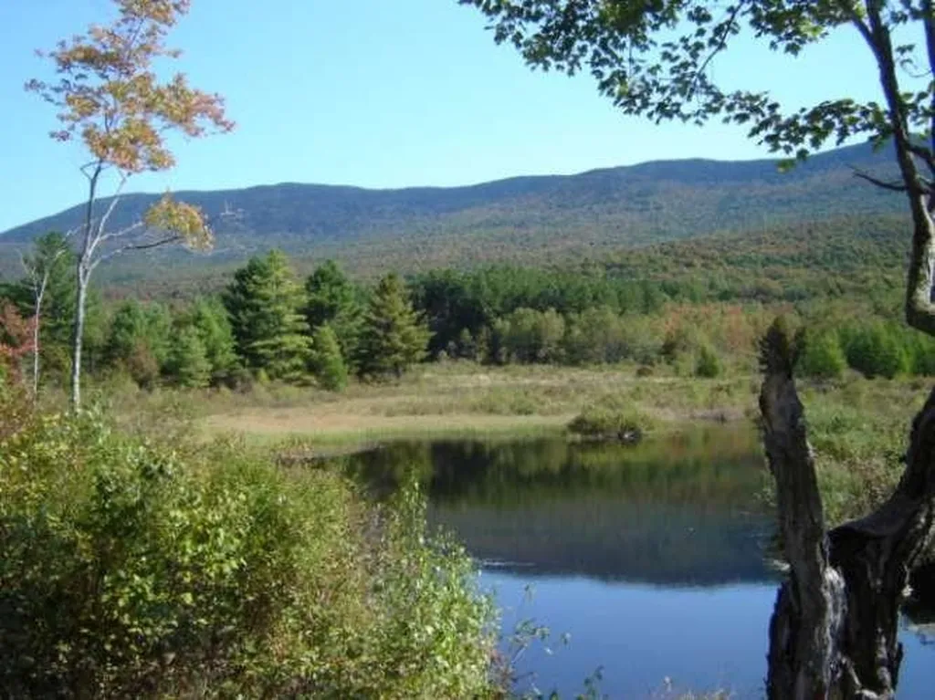 489 Hall Road Lincoln VT 05443