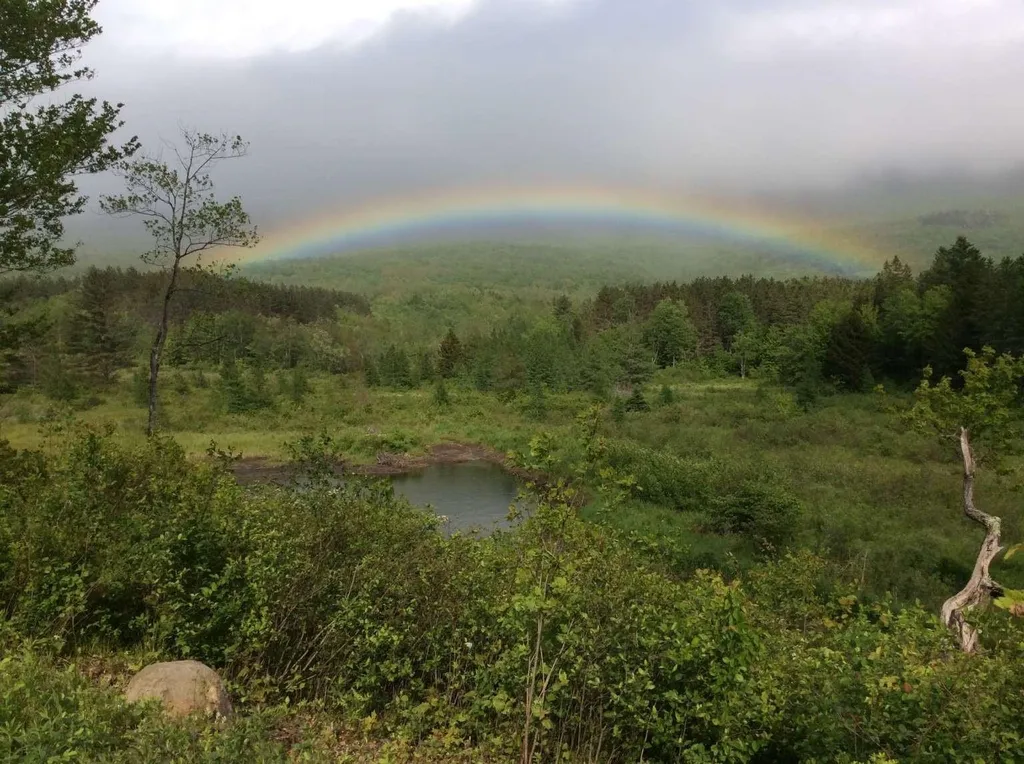 489 Hall Road Lincoln VT 05443