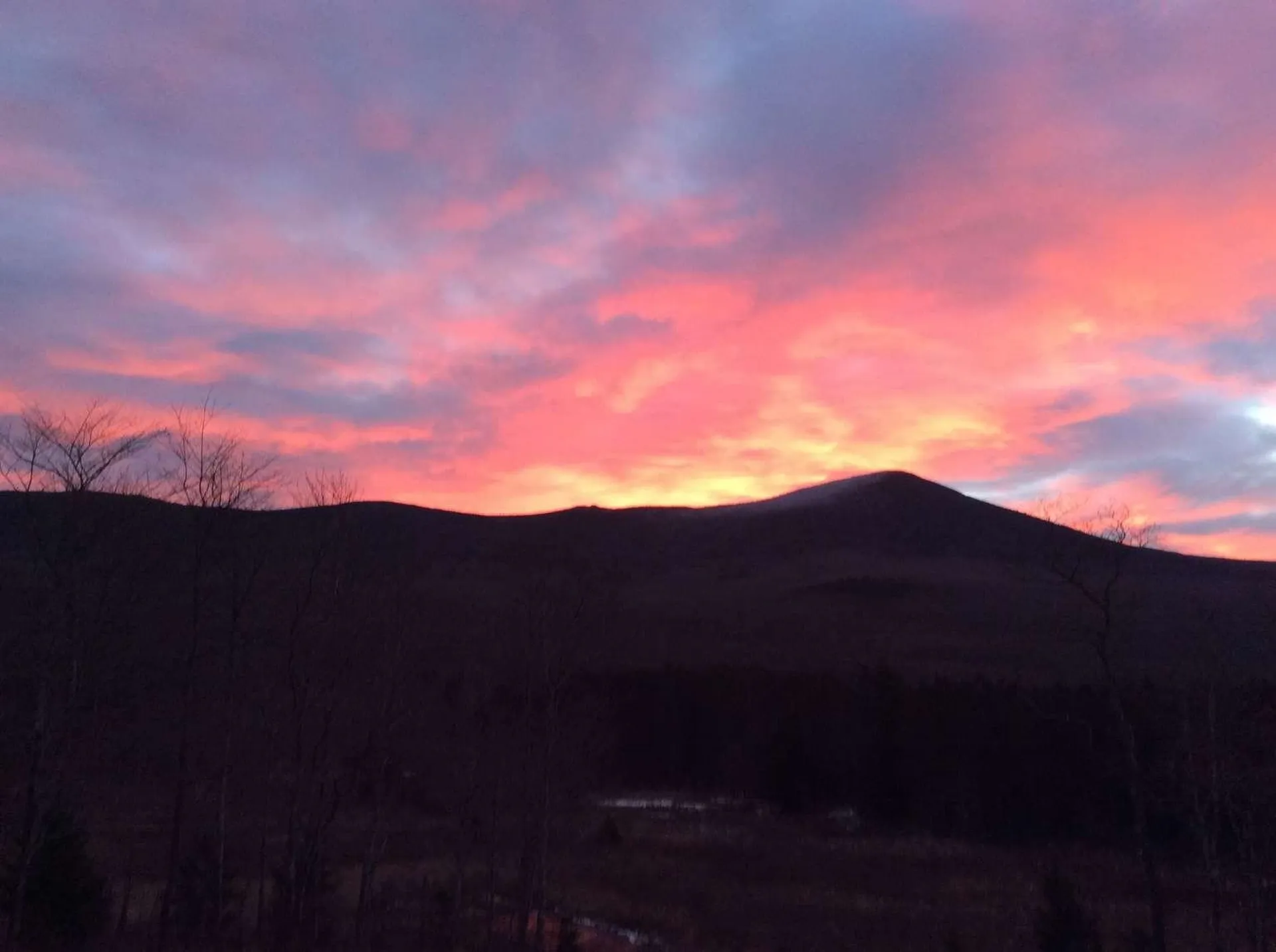 489 Hall Road Lincoln VT 05443