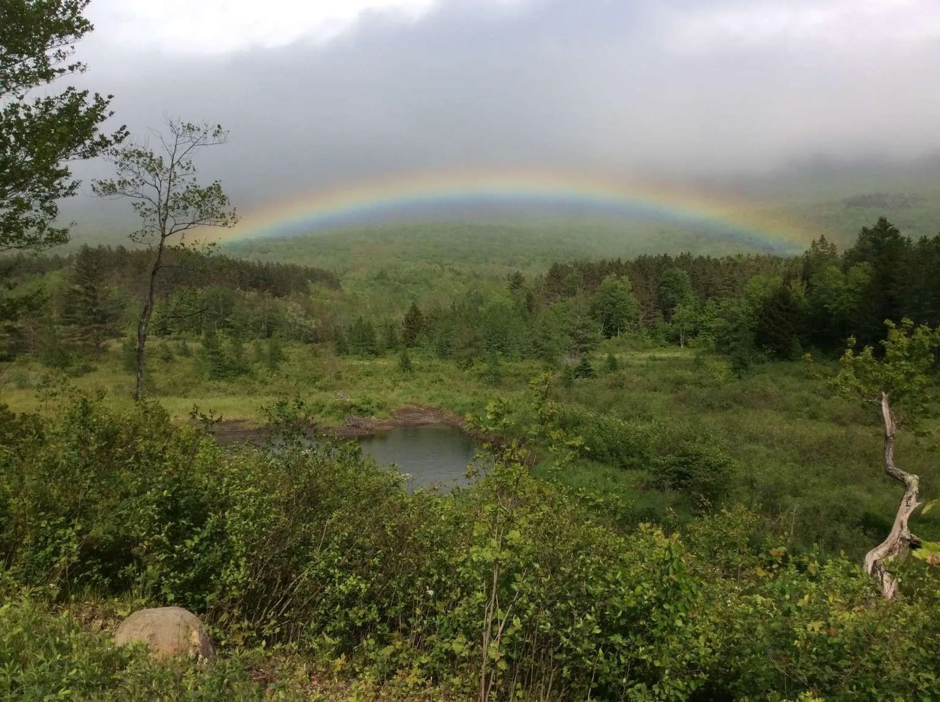 489 Hall Road Lincoln VT 05443