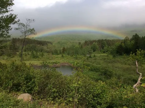 489 Hall Road Lincoln VT 05443