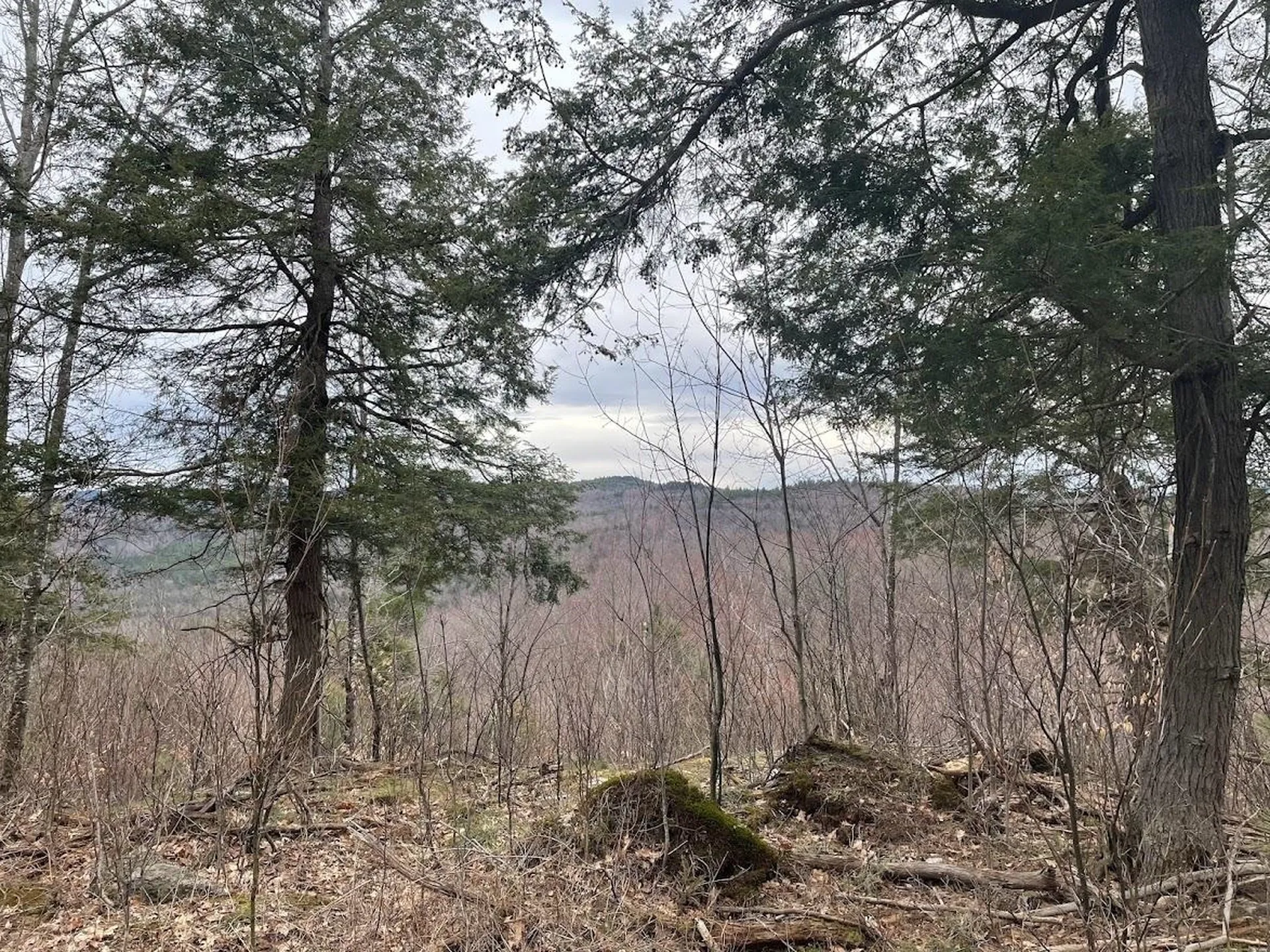 301 Ruggles Mine Road Grafton NH 03240