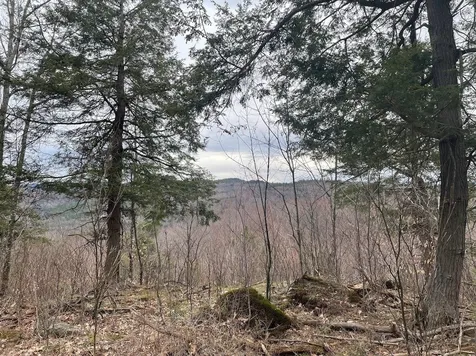 301 Ruggles Mine Road Grafton NH 03240