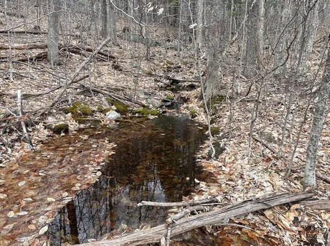 301 Ruggles Mine Road Grafton NH 03240