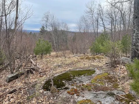 301 Ruggles Mine Road Grafton NH 03240