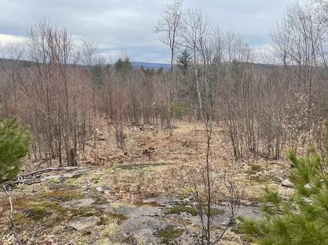 301 Ruggles Mine Road Grafton NH 03240