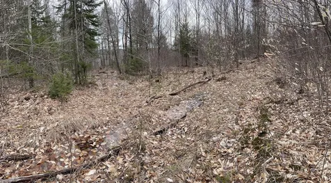 301 Ruggles Mine Road Grafton NH 03240