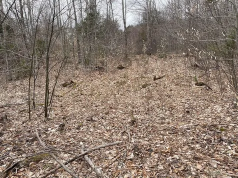301 Ruggles Mine Road Grafton NH 03240