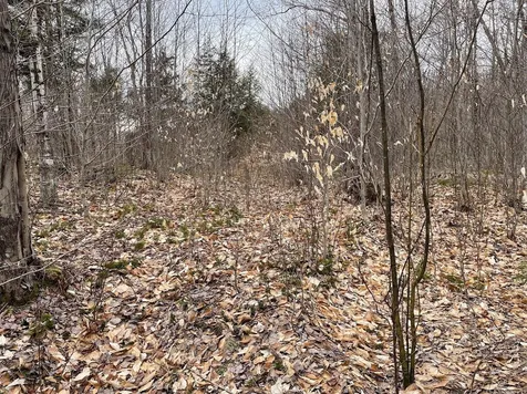 301 Ruggles Mine Road Grafton NH 03240