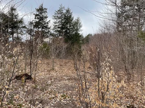 301 Ruggles Mine Road Grafton NH 03240